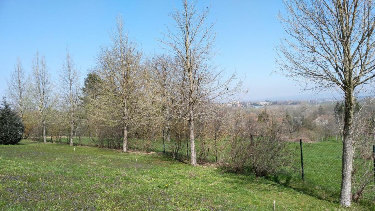 Modor Apartman Alsópáhok Esterno foto